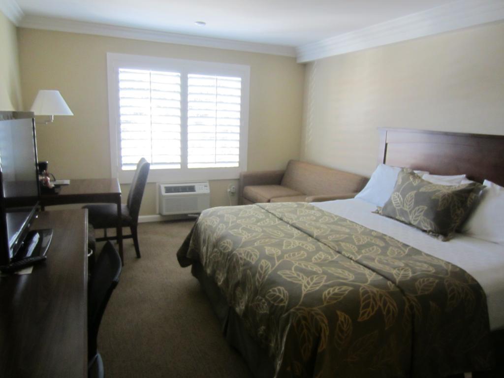 King Room,415924509:JPEG