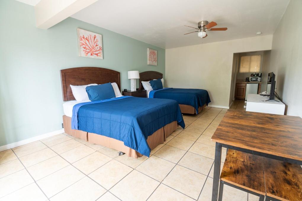 Studio Two Queens Pet Friendly