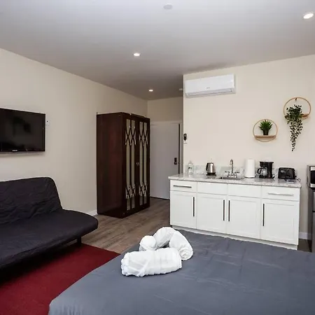 Steps To Balboa Park- Brand New Apt - Cozy Studio-3