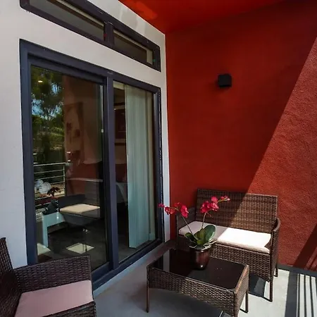 Steps To Balboa Park- Brand New Apt - Cozy Studio-2